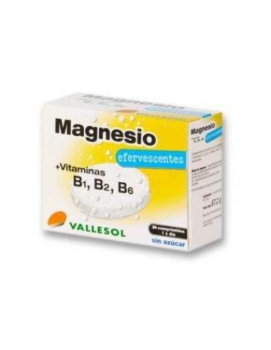 Vallesol Magnesium+B Effervescent 24 Tablets – Boost Energy