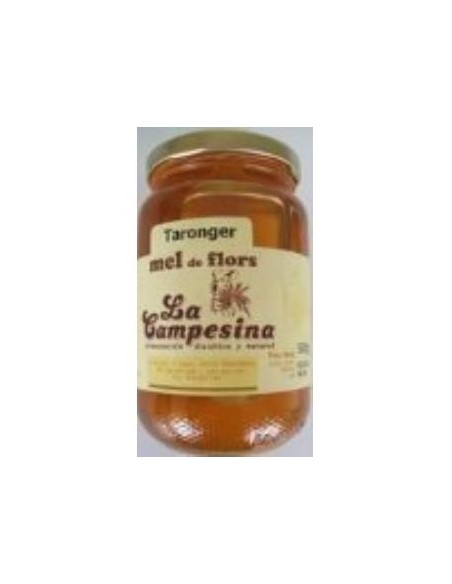 Miel de Azahar La Campesina 500g – Dulzura Natural