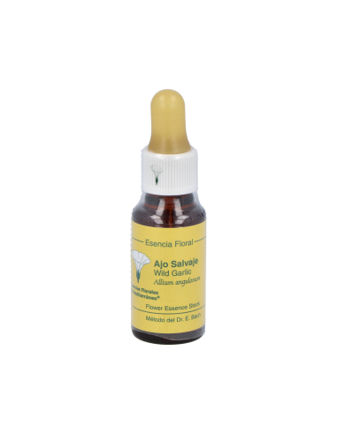 Ajo Salvaje E.F.Mediterraneo 20 Ml | Herbolario Salud y Vida
Extracto Ajo Salvaje 20 Ml | Herbolario Salud y Vida
Ajo Salvaje E.