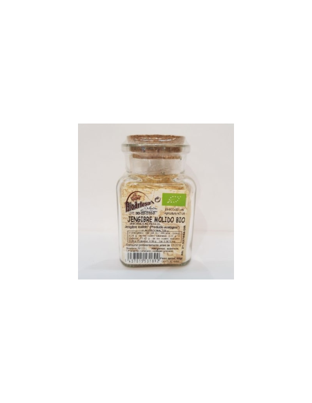 Jengibre Molido Bioartesa 60g | Especia Natural y Aromática