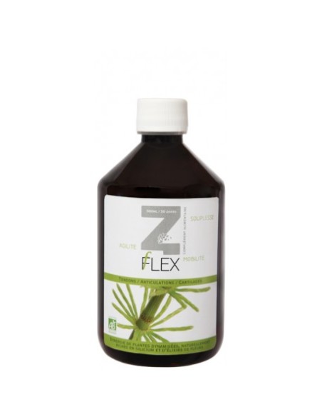 Z-Flex Eco 500 ml Mint-E H – Frescura y Cuidado Natural