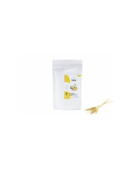 Gengibre em Pó Eco 100g | Tata Foods Natural e Puro