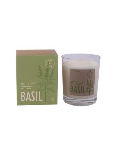 Vela Vaso Botvasb Basil 7,5X9Cm 1Ud de Cerabella