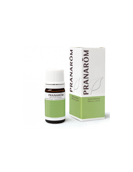 Tsuga del Canadá Rama-Agujas 5 ml Pranarom – Aceite Natural