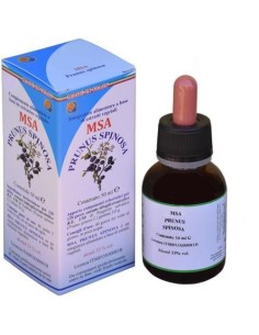 Msa Prunus Spinosa  Yemas (Endrino) de Herboplanet 2