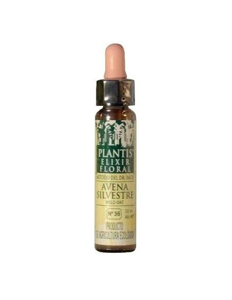 Elixir Floral Avena Silvestre (Wild oat) Nº 36