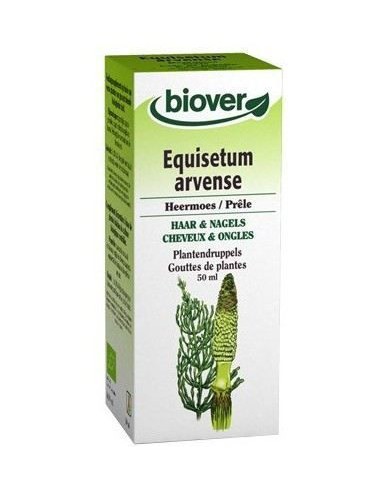 Tintura Cola de caballo-Equisetum arvense Bio 50ml Biover