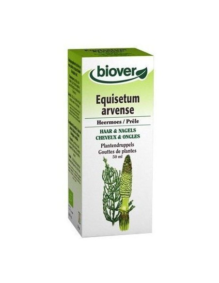 Tintura Cola de caballo-Equisetum arvense Bio 50ml Biover