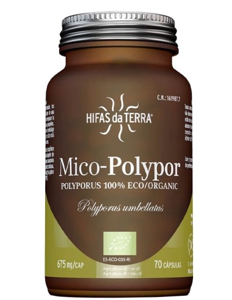 Mico-Polypor
