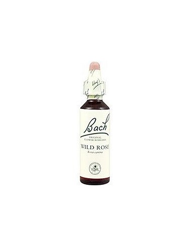 Wild Rose de Bach: Equilibrio emocional natural y bienestar