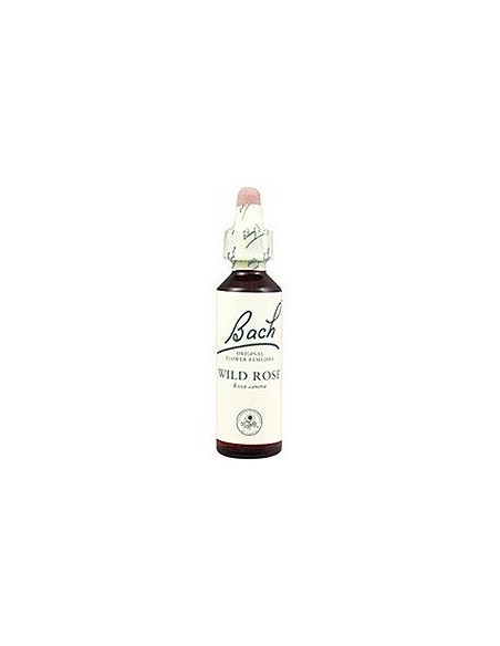 Wild Rose de Bach: Equilibrio emocional natural y bienestar