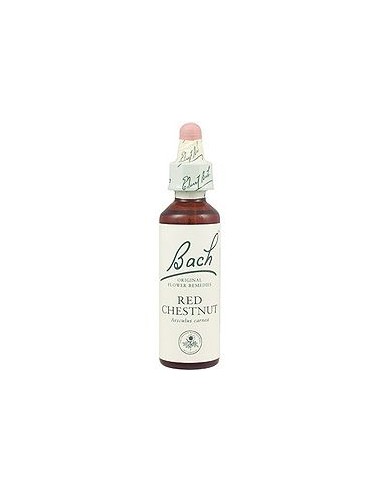 Red Chestnut de Bach: Equilibrio emocional y protección natural