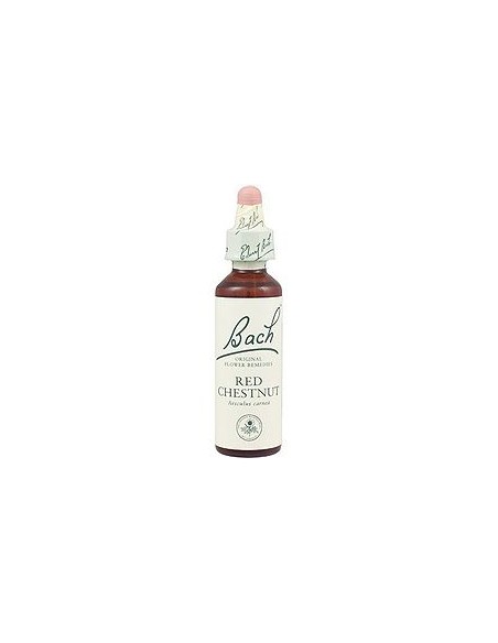 Red Chestnut de Bach: Equilibrio emocional y protección natural
