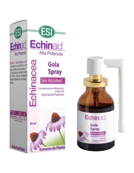 Echinaid Gola Spray