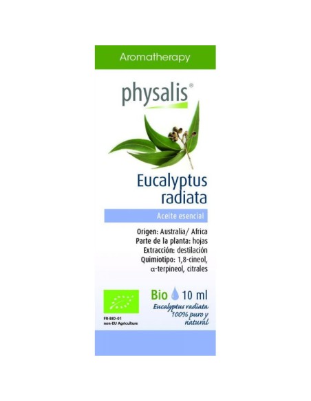 Aceite Esencial Eucalipto Radiata