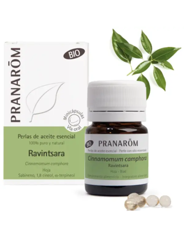 Folha de Ravintsara 100 ml Bio Pranarom – Óleo Essencial Puro