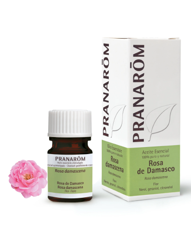 Rosa de Damasco 5 ml Pranarom – Aceite Esencial Puro