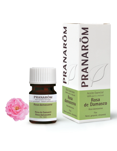 Rosa de Damasco 5 ml Pranarom – Aceite Esencial Puro