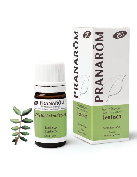 Lentisco Rama Bio Eco* 5 ml Pranarom – Aceite Esencial Puro
