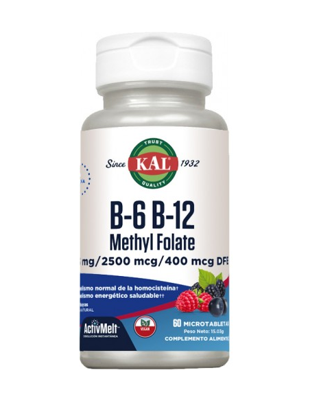 B6 B12 Metilfolato Sublingual 60 Comp Solaray  Vitalidad