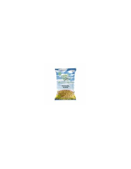 Pack 4x3 Olivo Hoja 40g Plantis Artesanía Natural