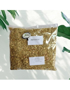 Artemisa 100Gr Pinisan Mb  Hierba Natural para Bienestar