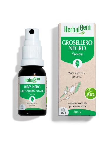 Spray de Groselha Preta Orgânica 15 ml | Herbalgem Natural e Eficaz