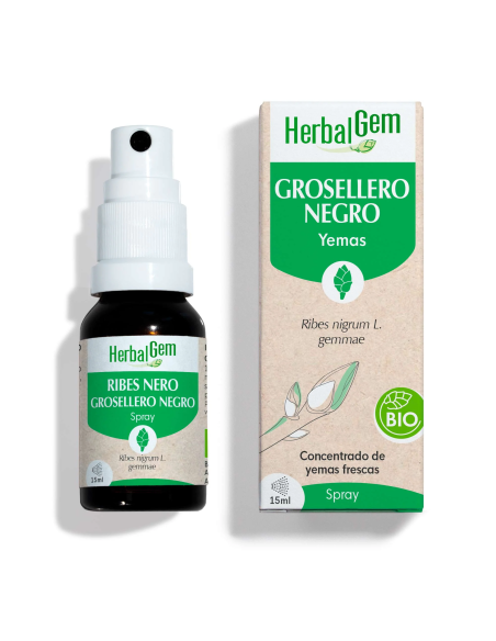 Spray de Groselha Preta Orgânica 15 ml | Herbalgem Natural e Eficaz