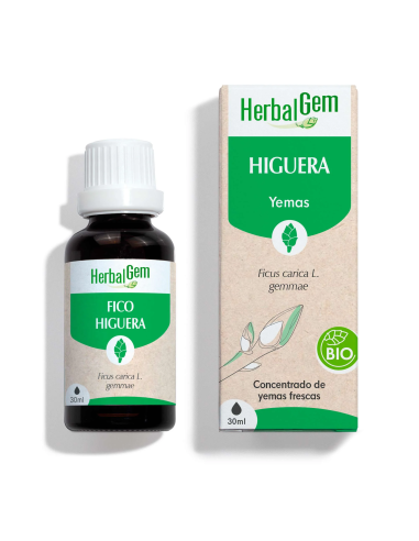 Figueira Orgânica 30 ml Extrato Natural e Eficaz Herbalgem