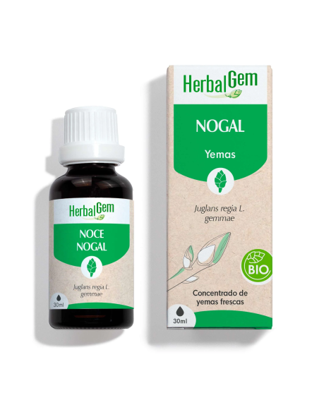 Noz Orgânica 30 ml Extrato Natural de Qualidade Herbalgem