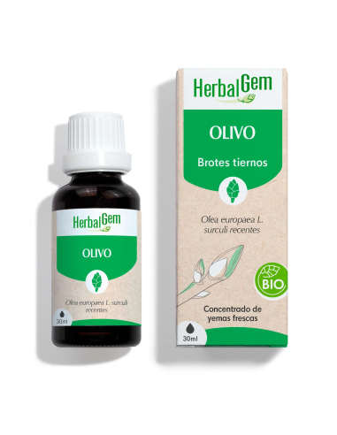 Oliveira Biológica 30 ml Extrato Natural Herbalgem para a sua Saúde