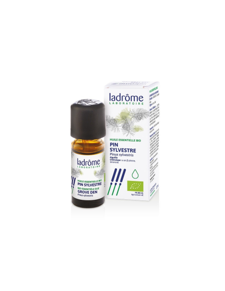 Óleo Essencial de Pinheiro Silvestre Bio 10ml - Ladrôme Laboratoire