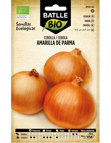 Semillas Cebolla Amarilla Parma PENC Batlle  Calidad y Rendimiento