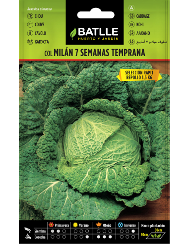 Semillas Col Milán_PENC de Batlle  Calidad y Rendimiento Garantizados