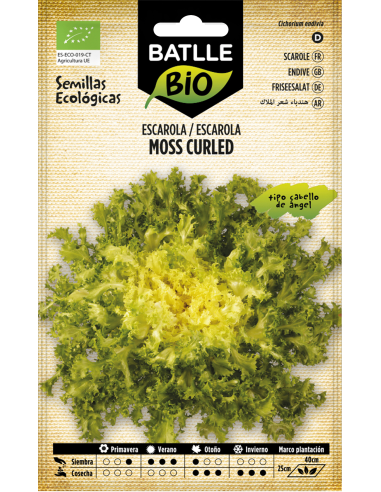 Semillas Escarola Cabello de Ángel Moss Curled_PENC Batlle