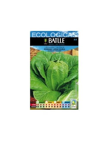 Semillas Lechuga Romana Larga Rubia Batlle  Calidad Premium
