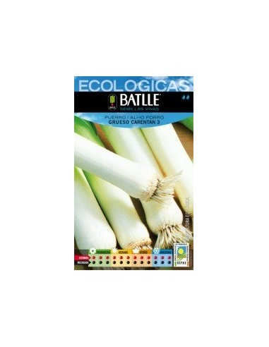 Semillas Puerro Grueso Carentan Batlle  Calidad y Rendimiento