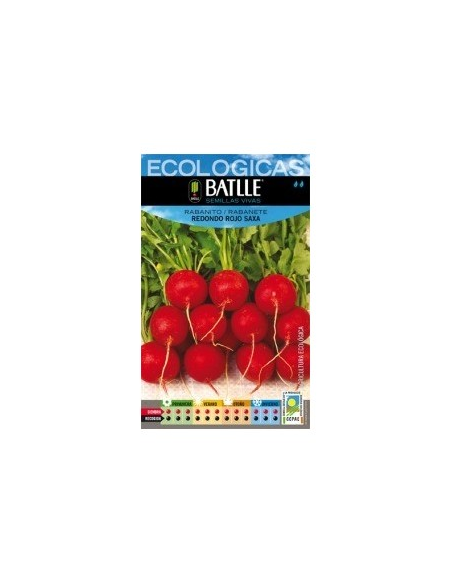 Semillas Rabanito Redondo Rojo Saxa Batlle  Calidad y Frescura