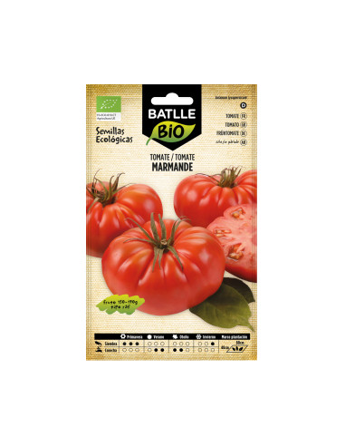 Semillas Tomate Marmande RAF Batlle  Calidad y Sabor Garantizados