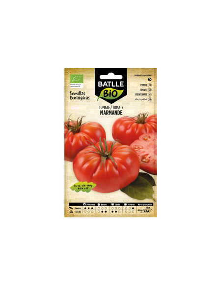 Semillas Tomate Marmande RAF Batlle  Calidad y Sabor Garantizados