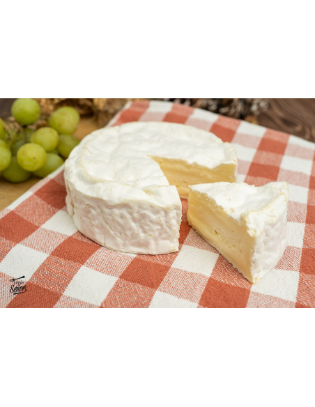 Queso Camembert: Sabor Cremoso y Tradición Francesa