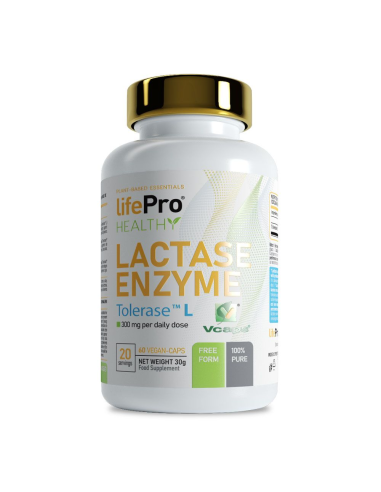Enzima Lactase 60 Cápsulas Vegetais da Vbyotics
