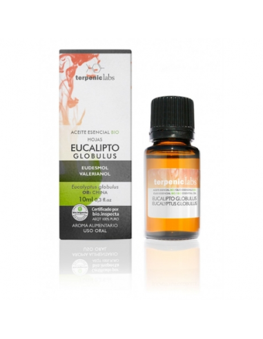 Eucalipto Globulus 10 Ml da Terpenic