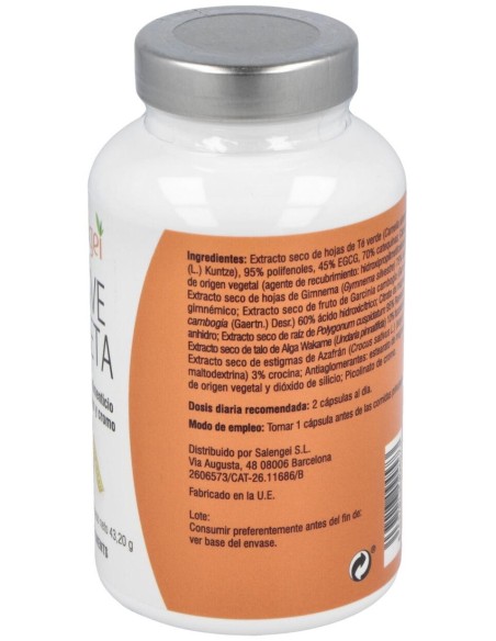 Active Silueta 60Cap. de Salengei